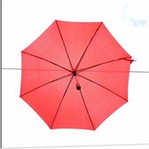 Dibond - Zwevende Paraplu aan Draad - 80x80cm Foto op Aluminium (Met Ophangsysteem)