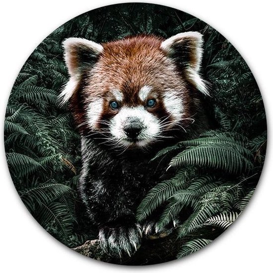 Cercle mural Little Panda - WallCatcher | Plexiglas 80 cm | Peintures rondes | Décoration murale botanique et animale pour usage intérieur et extérieur | Cercle mural Panda rouge sur verre acrylique