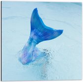 Dibond - Blauwe Zeemeermin staart in het Water - 50x50cm Foto op Aluminium (Wanddecoratie van metaal)
