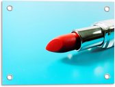 Tuinposter – Rode Lipstick - 40x30cm Foto op Tuinposter  (wanddecoratie voor buiten en binnen)