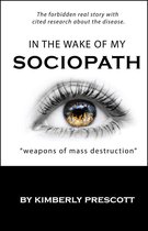In the Wake of My Sociopath