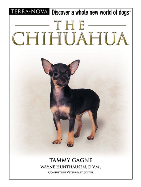 The Chihuahua - cover