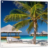 Tuinposter – Tropische Palmboom op het Strand - 80x80cm Foto op Tuinposter  (wanddecoratie voor buiten en binnen)