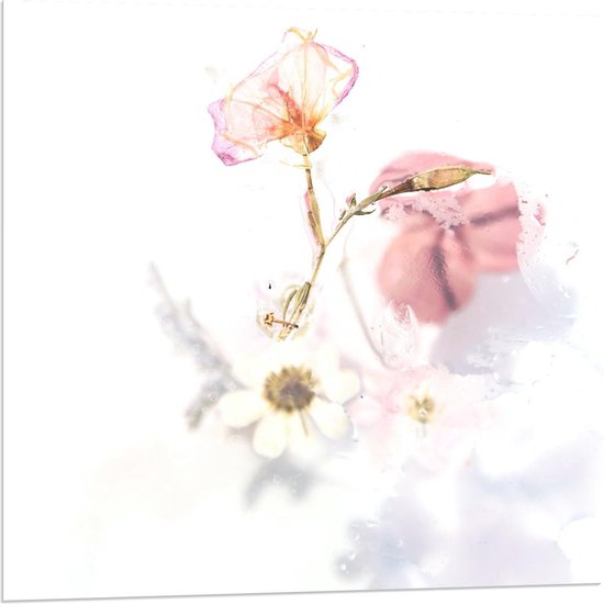 Acrylglas - Schildering Bloemen op Witte Achtergrond - Foto op Acrylglas (Met Ophangsysteem)