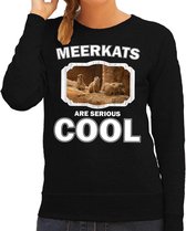 Dieren stokstaartjes sweater zwart dames - meerkats are serious cool trui - cadeau sweater stokstaartje/ stokstaartjes liefhebber L