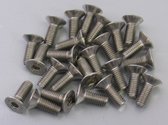 Inbusbout M6x16mm Verz. Kop RVS (25 Stuks)