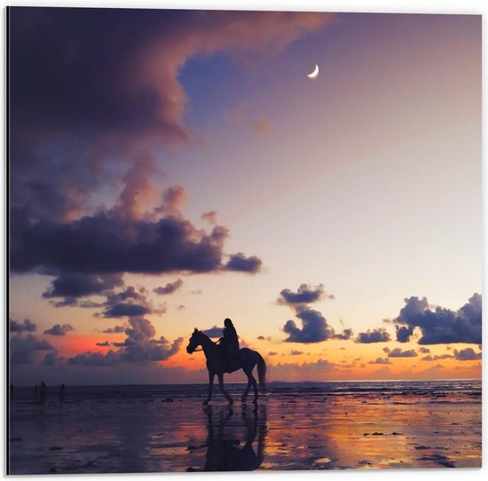 Dibond - Paard aan Zee met Zonsondergang  - 50x50cm Foto op Aluminium (Wanddecoratie van metaal)