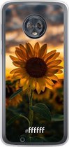 Motorola Moto G6 Hoesje Transparant TPU Case - Sunset Sunflower #ffffff