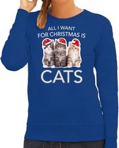 Kitten Kerstsweater / Kersttrui All I want for Christmas is cats blauw voor dames - Kerstkleding / Christmas outfit XS