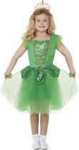Smiffy's - Elfen Feeen & Fantasy Kostuum - St Patricks Day Fee - Meisje - Groen - Large - Carnavalskleding - Verkleedkleding
