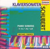 Schubert: Piano Sonatas, D625, D784, D958