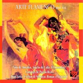 Arte Flamenco Vol. 14