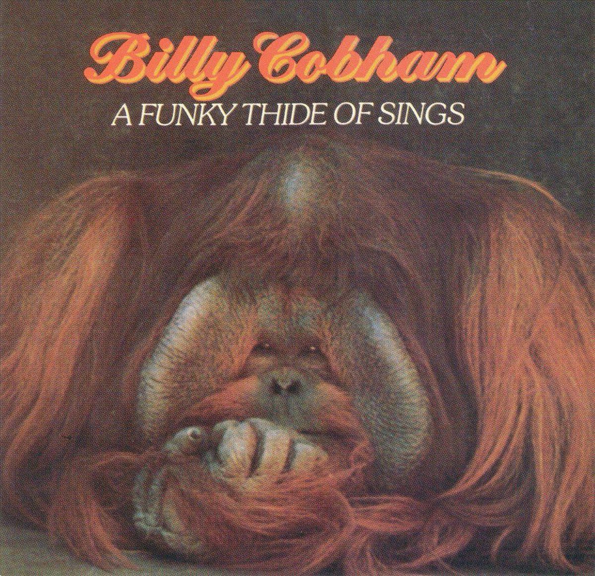 A Funky Thide of Sings