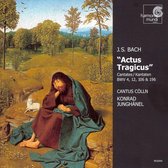 Bach: Actus tragicus - Cantatas BWV 4,12,106,196 / Konrad Junghanel et al