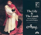 The Lily & The Lamb / Anonymous 4