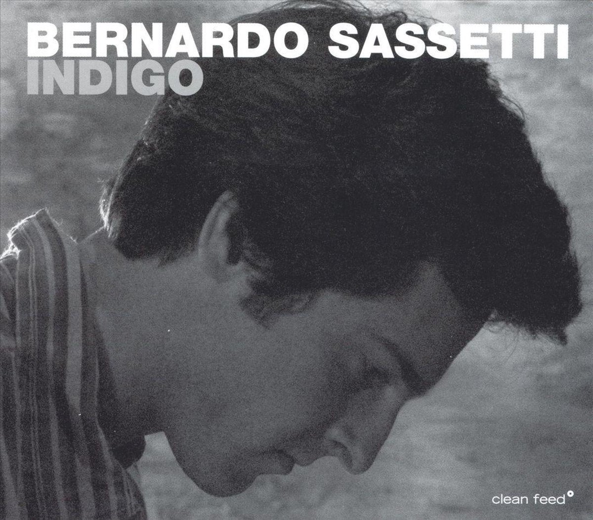 Afbeelding van product Indigo  - Bernardo Sassetti