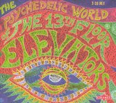 The Psychedelic World Of The 13th Floor Elevators