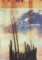 Gin Blossoms - Just South of Nowhere
