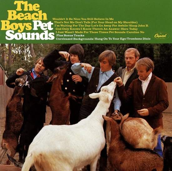 Pet Sounds (200G)