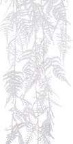 Bos plc asparagus l35h105 cm wit