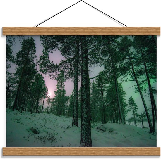Schoolplaat – Bos met Noorderlicht op Achtergrond  - 40x30cm Foto op Textielposter (Wanddecoratie op Schoolplaat)