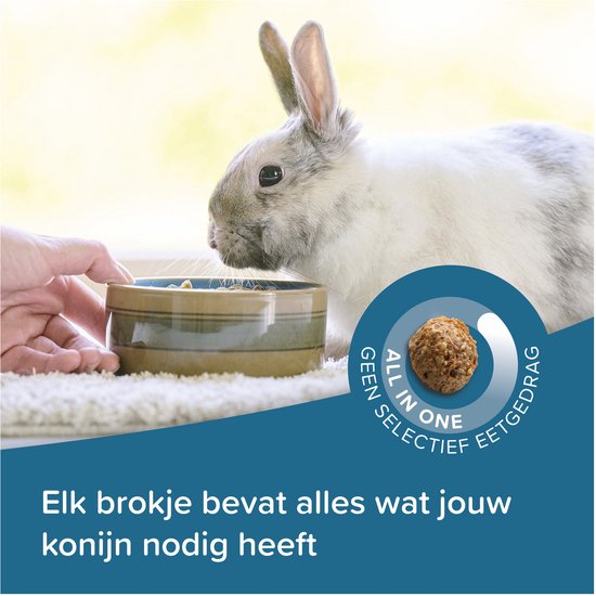 Wit konijn eet uit een voerbakje. Zak voer met 'ALL IN ONE SELECTIVE FEEDING' icoon.
