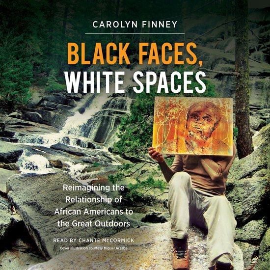 Black Faces, White Spaces - cover