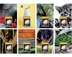 LECAS Scheurkalender wandmodel Nature, komisch blok, 2026