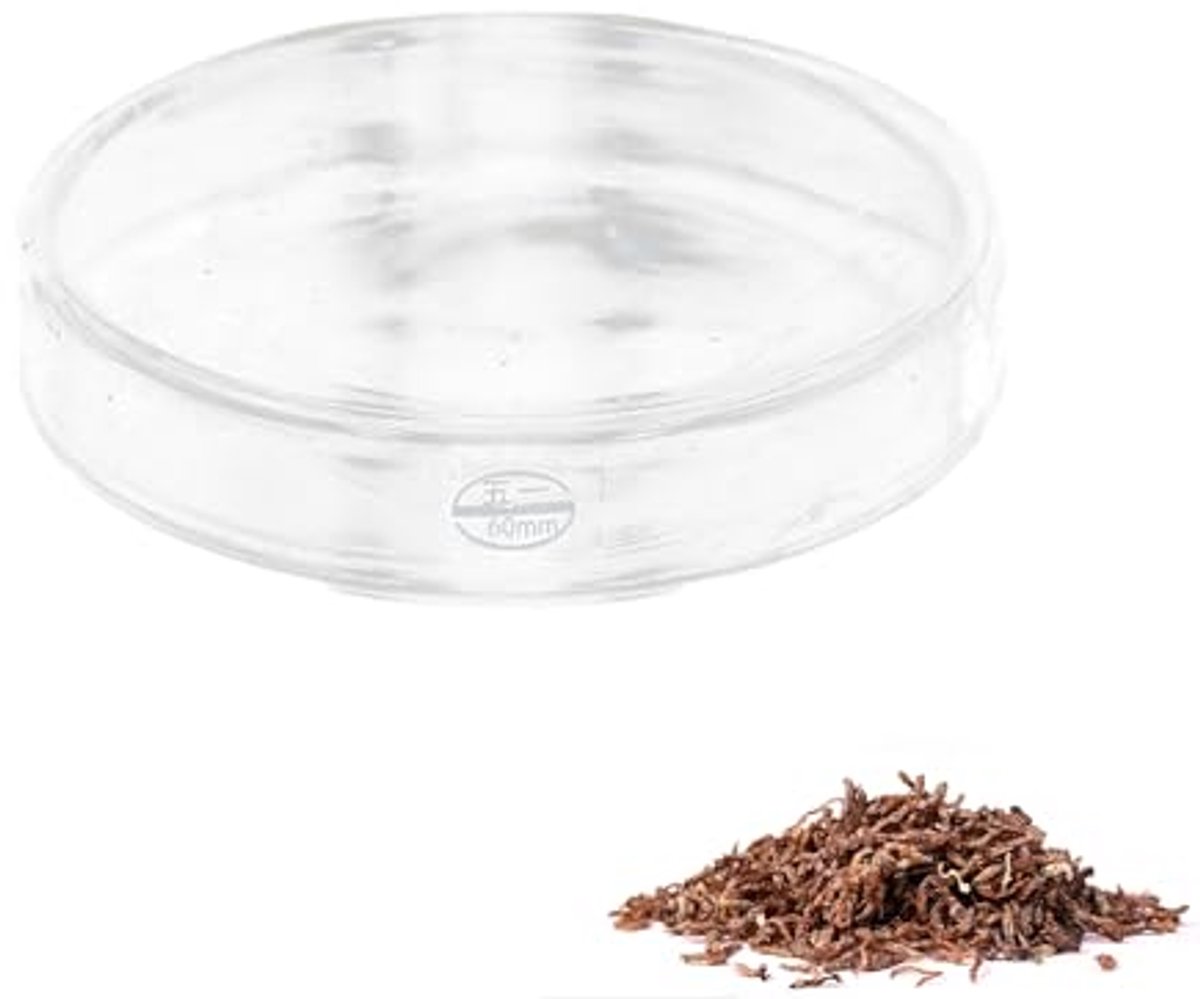 Aquarium Shrimp Feeding Dish Fish Tank Feeder Glass Food Bowl Clear Dish Fish Food (60mm)