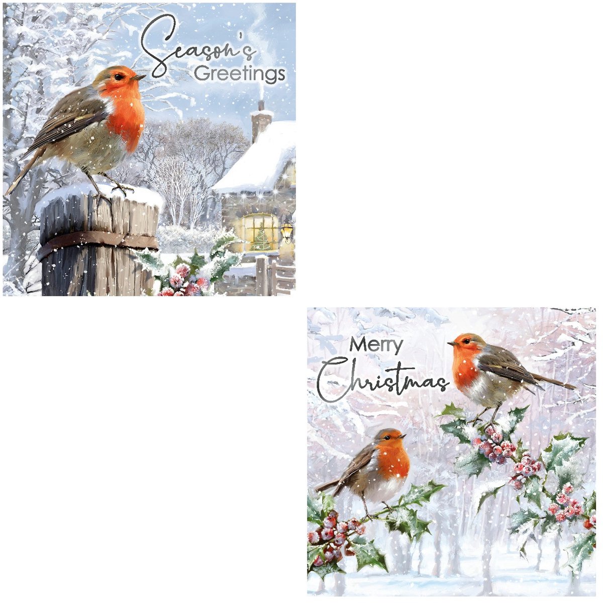 12 Traditionele Engelstalige dubbele Kerstkaarten met roodborstje - 14 x 14 cm