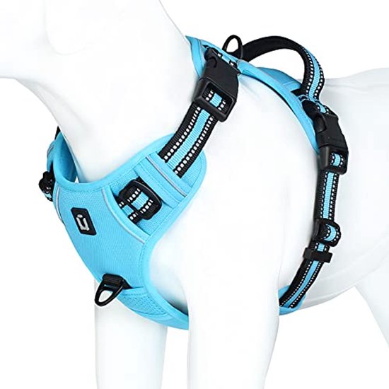 Foto: Tailpetz air mesh harness hondenharnas hondentuig hondentuigje kleine hond y tuig hond harnas hond anti trek tuig hond reflecterend maat m neon pink