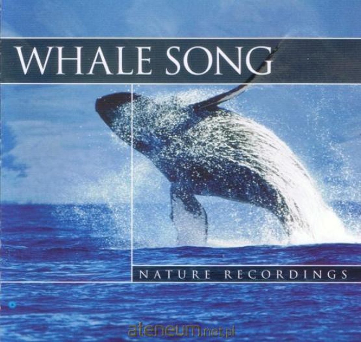 Whale Song - Wieloryby [CD]