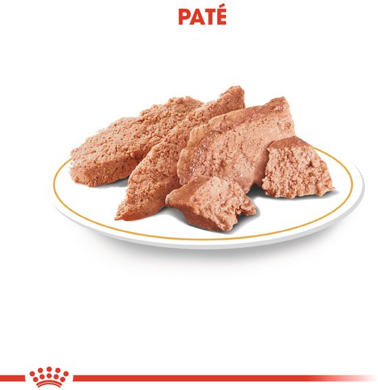 Paté op een bord, bestaande uit stukjes vlees in een smeuïge substantie.