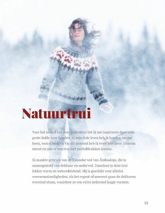 Noorse truien breien
