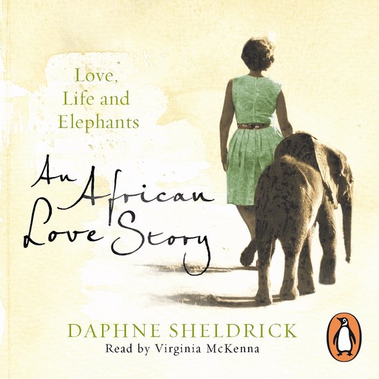 An African Love Story - cover