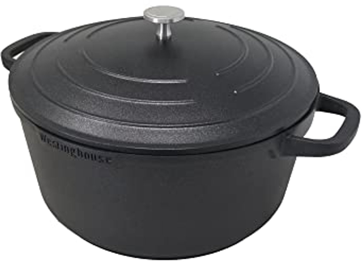 Grote Kookpan 28 cm voor Inductie en Alle Warmtebronnen - Ovenvast, Vaatwasmachinebestendig en Gecoat