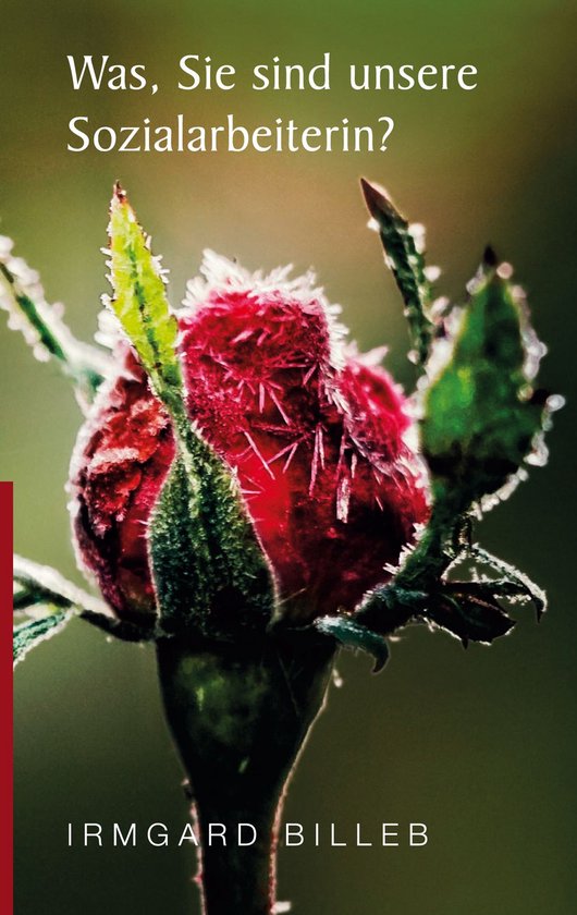 Was, Sie sind unsere Sozialarbeiterin? - cover