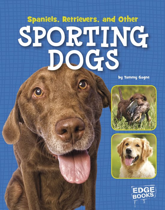 Dog Encyclopedias - Spaniels, Retrievers, and Other Sporting Dogs
