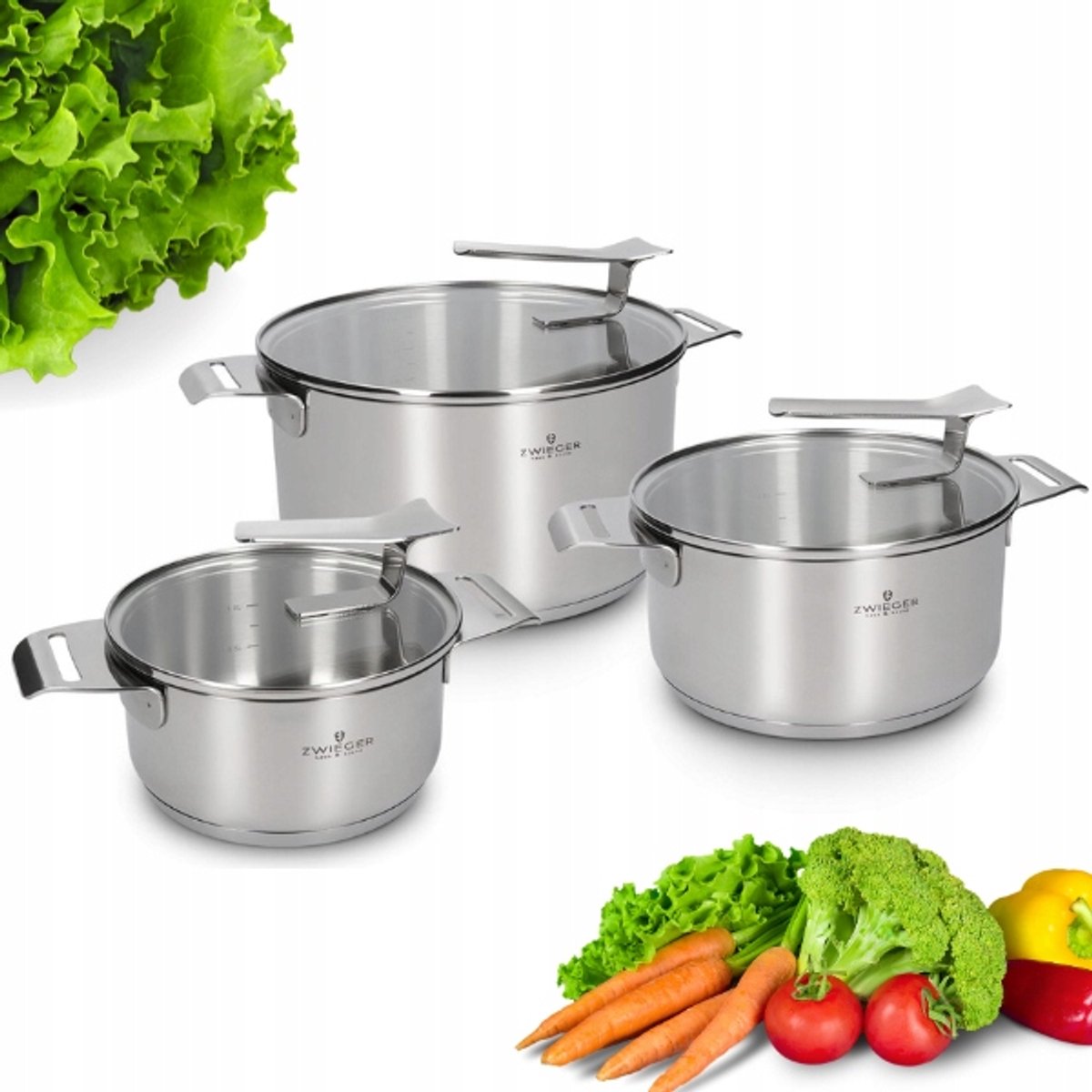 Zwieger Visionary Pannenset 6-delig - RVS, Inductie & Gas