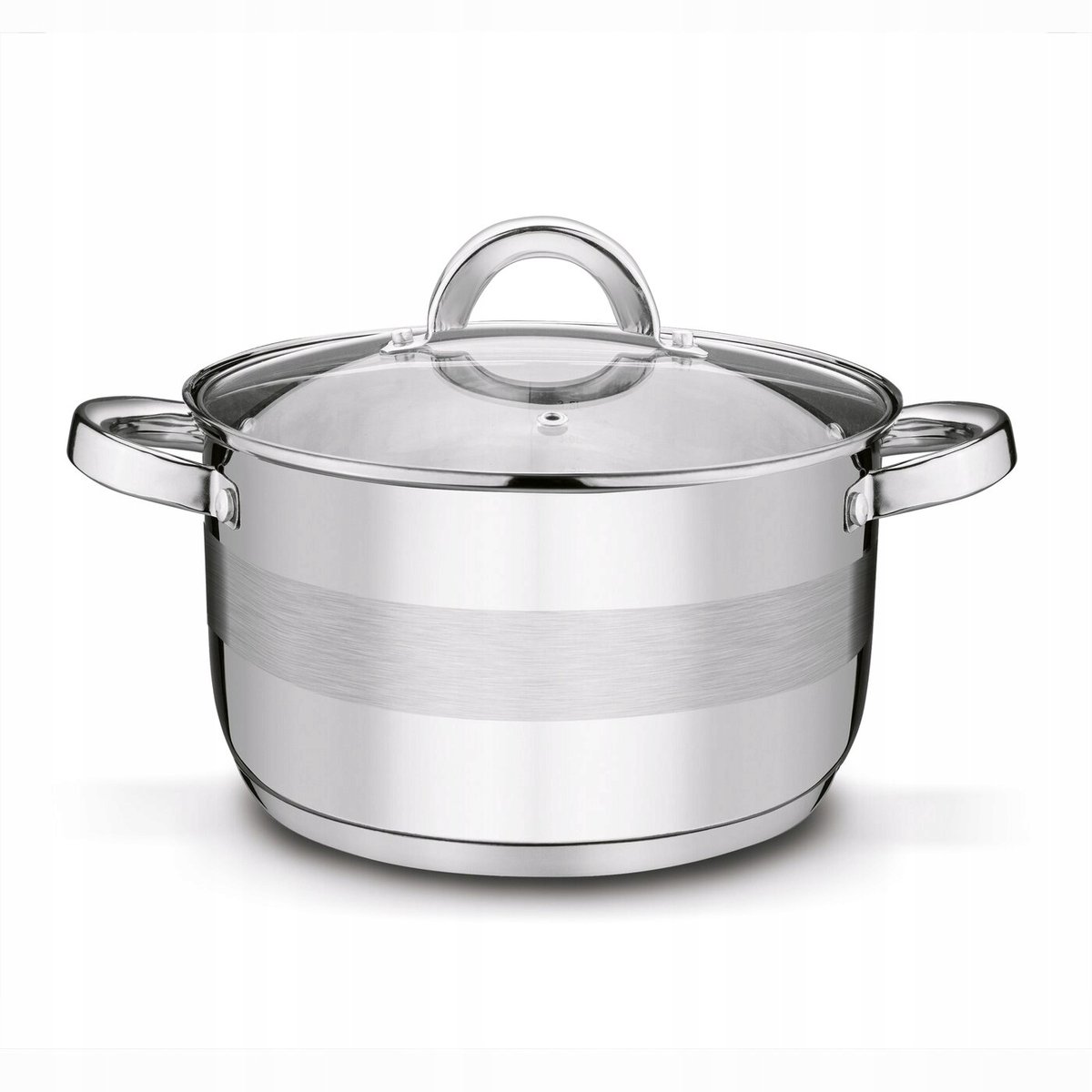 Tadar Roger Inductiepan Staal 22cm 4L met deksel