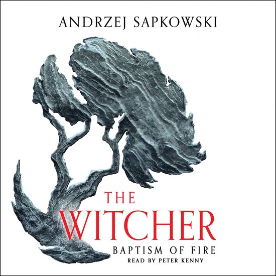 Boek "The Witcher: Baptism of Fire" met een grijze, verweerde boomstructuur op een witte achtergrond.