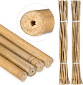 Relaxdays 50x bamboestokken - tonkinstokken - bamboestok - set - decoratie - 105 cm