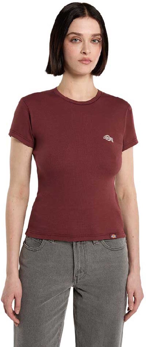 Dickies Gladeville T-shirt Met Korte Mouwen S Vrouw Andorra