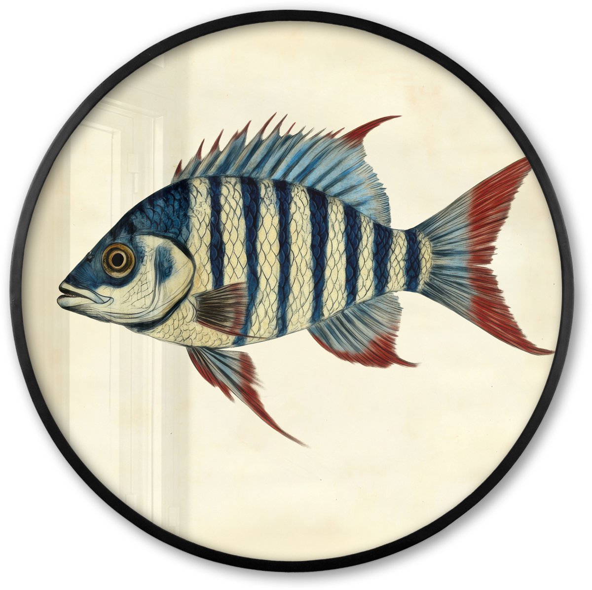 FrameYourWall Poster in lijst Rond - Fotolijst 60x60 cm - Posters - Gestreept - Donkerblauw - Rugvin - Vis - Ronde posterlijst zwart - Decoratie - Wanddecoratie woonkamer - Muurdecoratie slaapkamer Vis - Rugvin