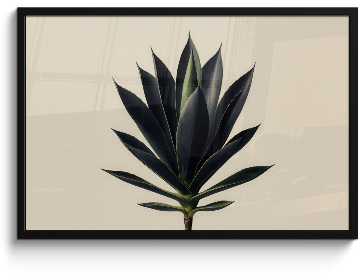 FrameYourWall Poster in lijst - Fotolijst 90x60 cm - Posters - Agaveplant - Symmetrisch - Groen - Posterlijst zwart - Decoratie - Wanddecoratie woonkamer - Muurdecoratie slaapkamer