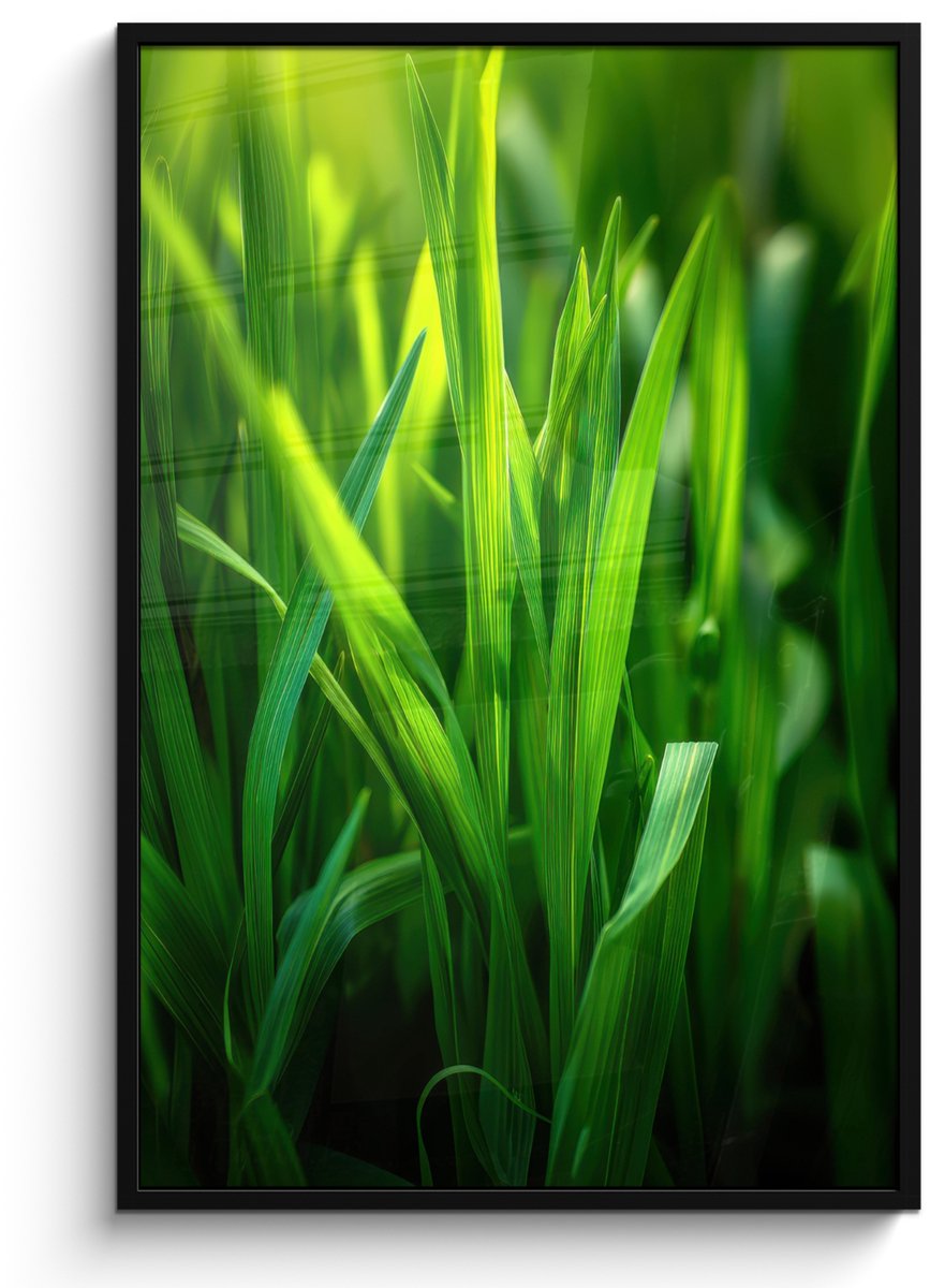 FrameYourWall Poster in lijst - Fotolijst 80x120 cm - Posters - Grassprieten - Lichtinval - Groen - Posterlijst zwart - Decoratie - Wanddecoratie woonkamer - Muurdecoratie slaapkamer