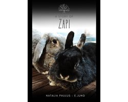 A story of Zapi