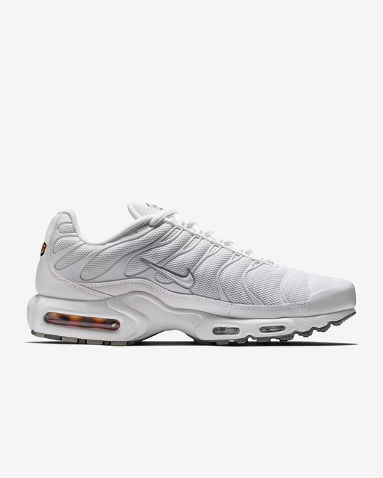 nike air max plus size 13