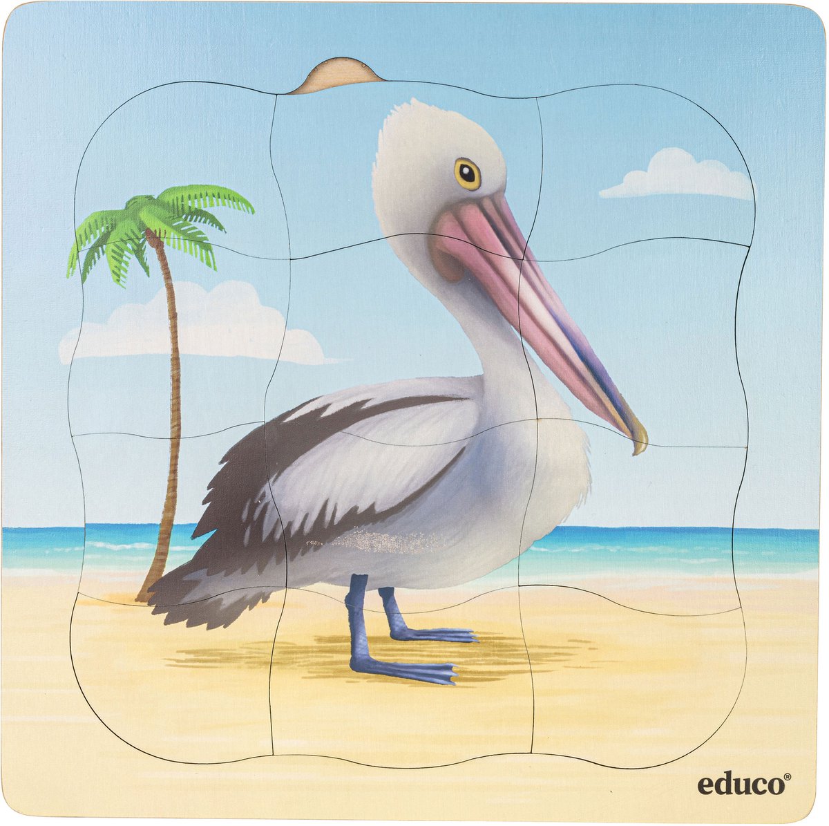 Groeipuzzel strand - Pelikaan