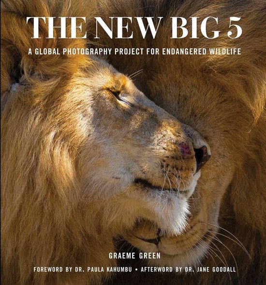 The New Big 5 - cover